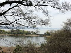 -上海市保健医疗中心(华东疗养院)