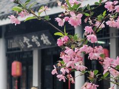 -无锡梅园公园