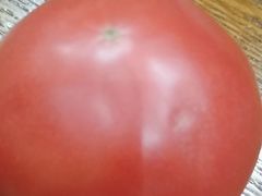 -学习谷日语培训日本留学·多语种外语教学(海淀人大分部)