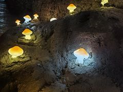 -秦岭天竺山生态文化旅游景区