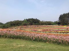 -保利石象湖景区