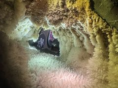 -湖南省地质博物馆