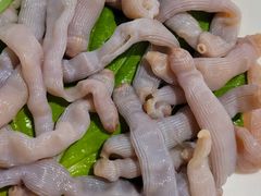-凯华海鲜火锅·传承三十六年