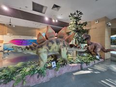 -安徽省地质博物馆