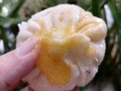 爆汁流沙包-老陶包子铺(南大西南村店)