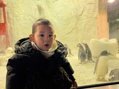 -大连圣亚海洋世界