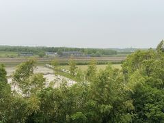 -上海崇明金茂凯悦酒店