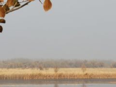 -野鸭湖国家湿地公园