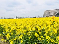 -中国天府农业博览园