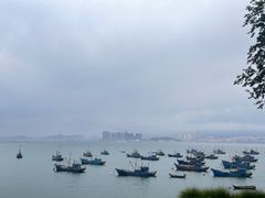 -海源公园