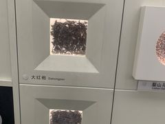 -中国茶叶博物馆(双峰馆区)