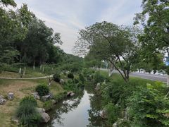-羊山湖公园