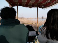 -盐城丹顶鹤湿地生态旅游区