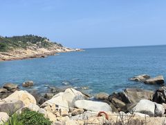 -广东惠东海龟国家级自然保护区