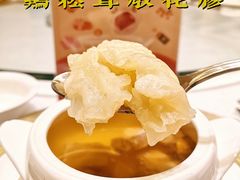 -酌宴府The China Club·广州万富希尔顿酒店(云城东路店)