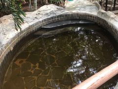 -龙达温泉生态城