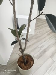 -HEYAN荷妍专业脱毛连锁机构