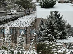 -中关村生命科学园