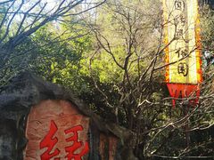 -杭州黄龙洞