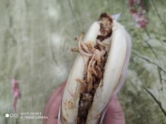 腊汁肉夹馍-秦镇史玉林凉皮(翡丽城店)