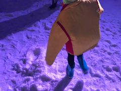 -世界之窗阿尔卑斯冰雪世界