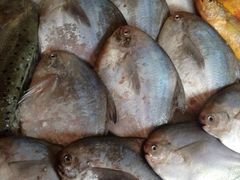iphone_upload_pic-合家小菜餐馆(新诚花苑店)