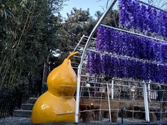 -丽泽山庄·生态怀柔菜·虹鳟鱼(红螺寺店)