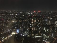 -东京都厅舍