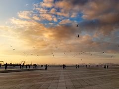 -东港音乐喷泉广场