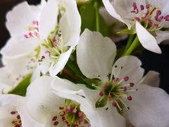 -大鹅岛灶台鱼·铁锅炖(水库路店)