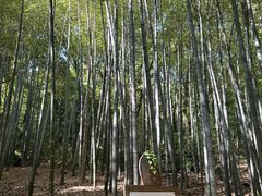 -宝岩生态观光园