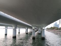 -演武大桥观景平台