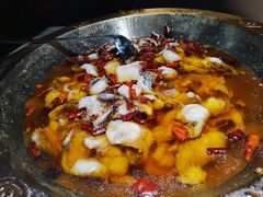 -雲蜀龙阁·金牌水煮鱼(方庄店)