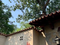 -静园(和平区)