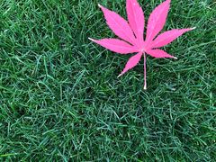 -桃花涧
