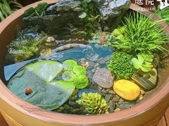 -哈尔滨道外花鸟鱼市场