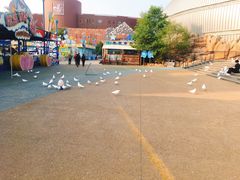 -烟台海昌鲸鲨海洋公园