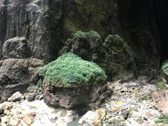 -小寨天坑