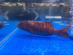 -长申超市(美食城店)