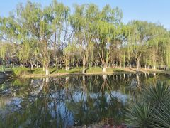 -白塘生态植物园