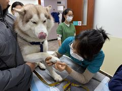 -美联众合动物医院·24h转诊中心