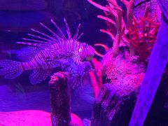 -沈阳海洋探索中心