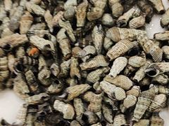 -瑞杰烧烤店·24小时营业(山东路店)