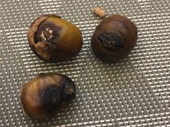 -秋栗香(地安门店)