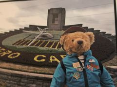 -济州岛泰迪熊博物馆