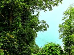 -点都德(广州白云山景区南门店)