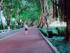 -南宁南湖公园