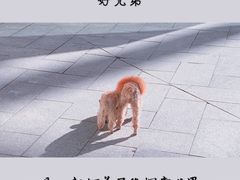 -资和信百货商场