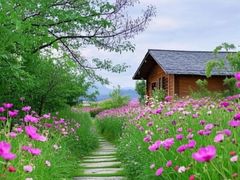 -长白岛森林公园