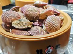 -龍歌自助小火锅(城阳万象汇店)